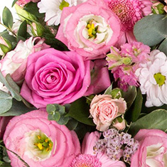 Florist Choice Hand Tied