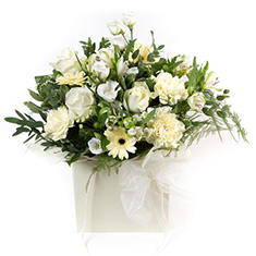 Lemon &amp; White Gift Box