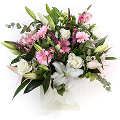 Pink &amp; White Gift Box
